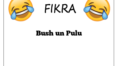 Bush un Pulu Fıkrası